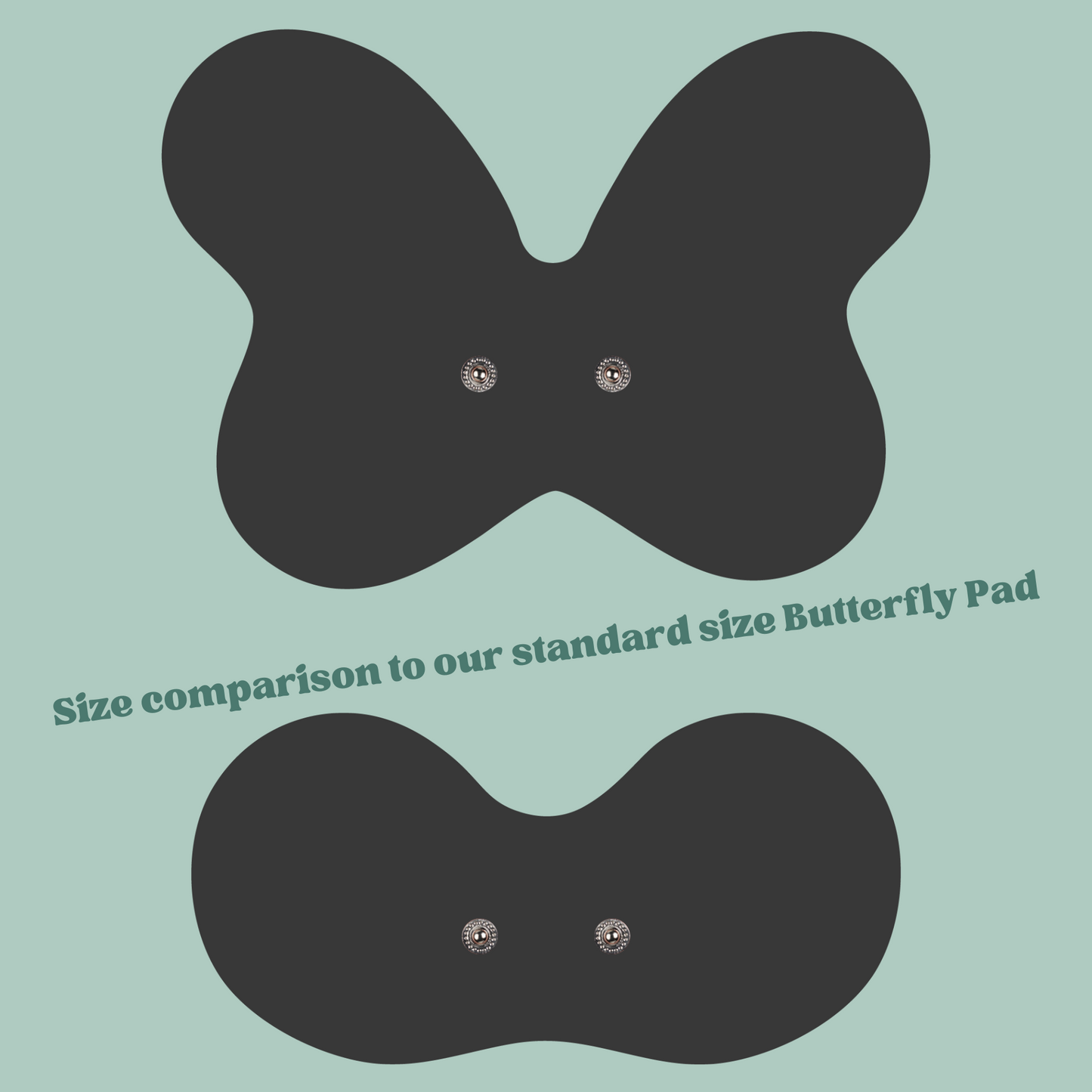 XL Butterfly Back Pad (2.0) image 2